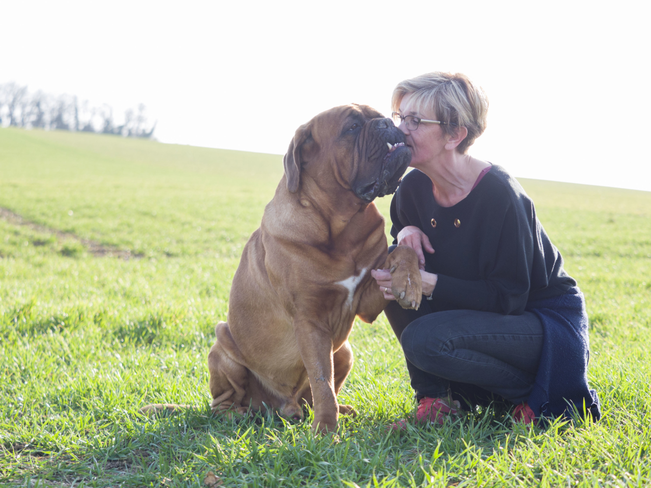 Nos amis les animaux 1